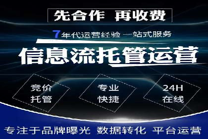 成功SEM竞价托管案例分析报告